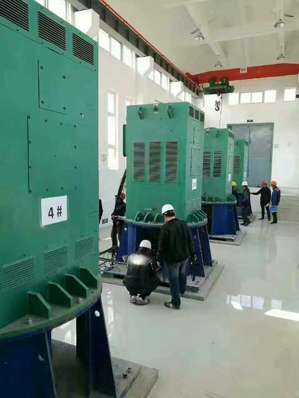 漳县某污水处理厂使用我厂的立式高压电机安装现场