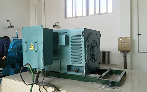 漳县某水电站工程主水泵使用我公司高压电机