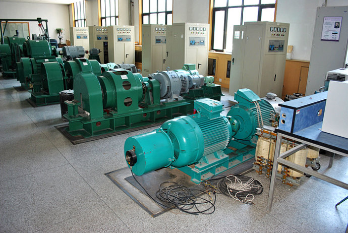 漳县某热电厂使用我厂的YKK高压电机提供动力